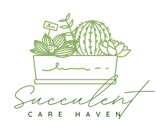 Succulent Care Haven